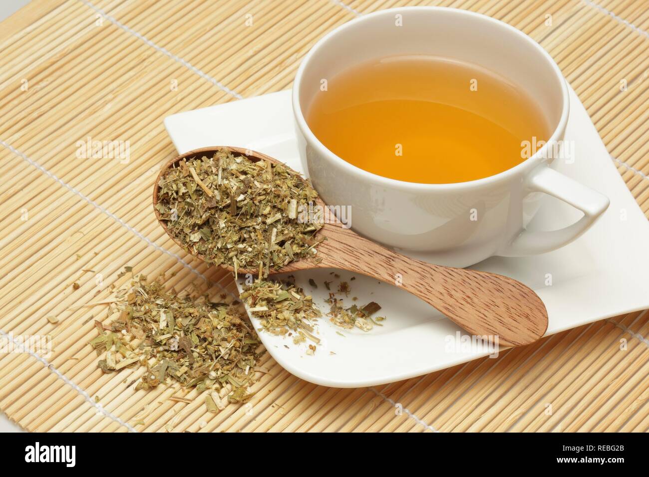 Herbal tea made of the medicinal plant Canadian Golden-rod (Solidago canadensis) Stock Photo
