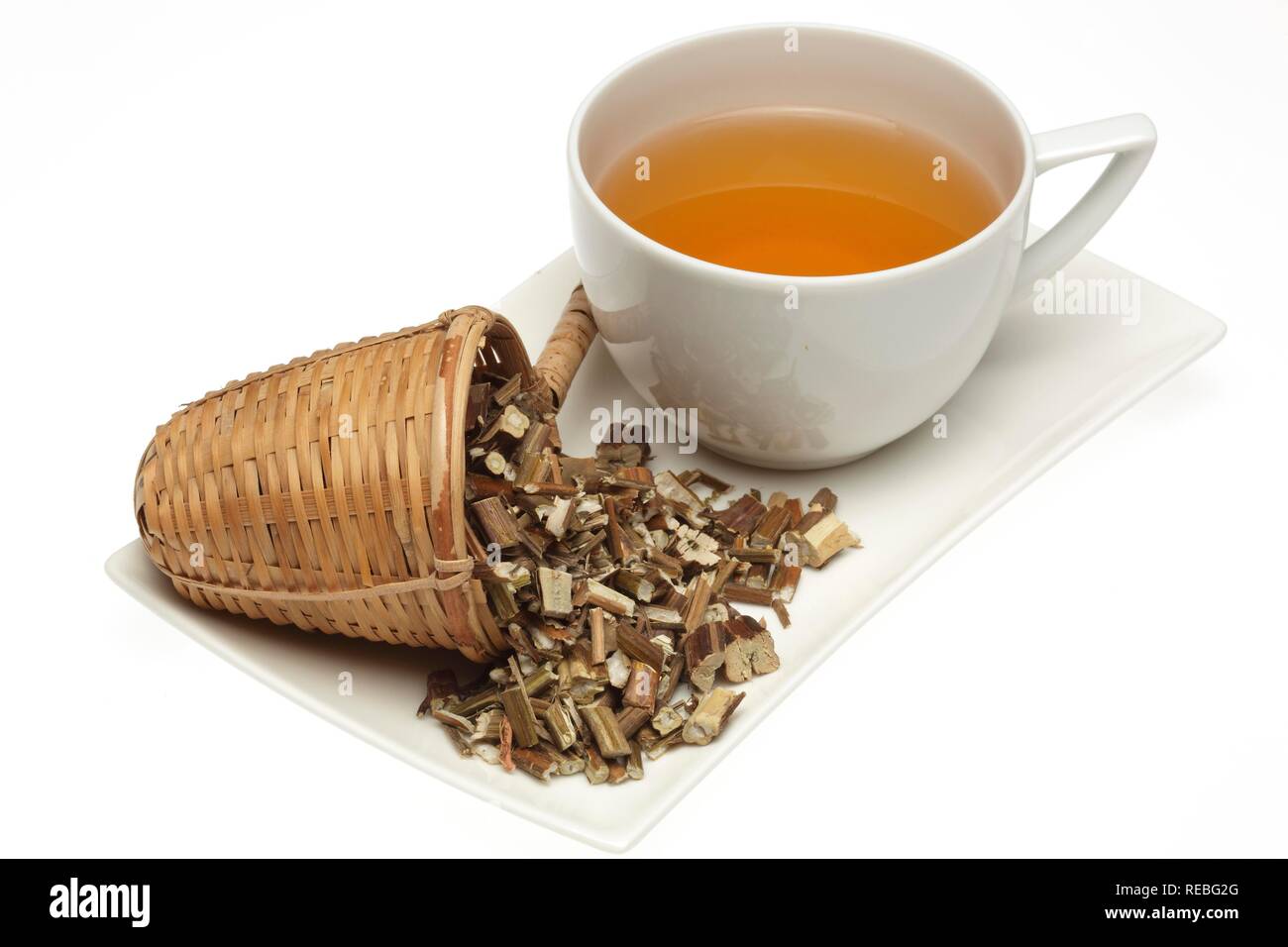 Medicinal tea made of Chinese Balm, Perilla, Beef-steak plant, Green Shiso (Perilla frutescens), Su Geng Stock Photo