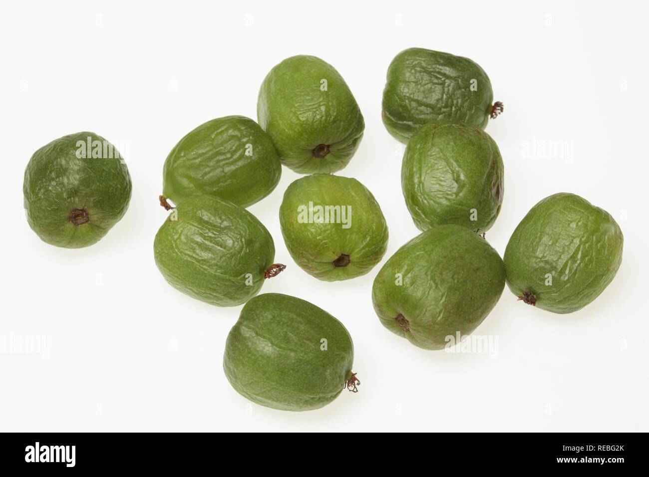 Hardy kiwifruit, Kiwifruit, Baby Kiwi (Actinidia arguta) Stock Photo