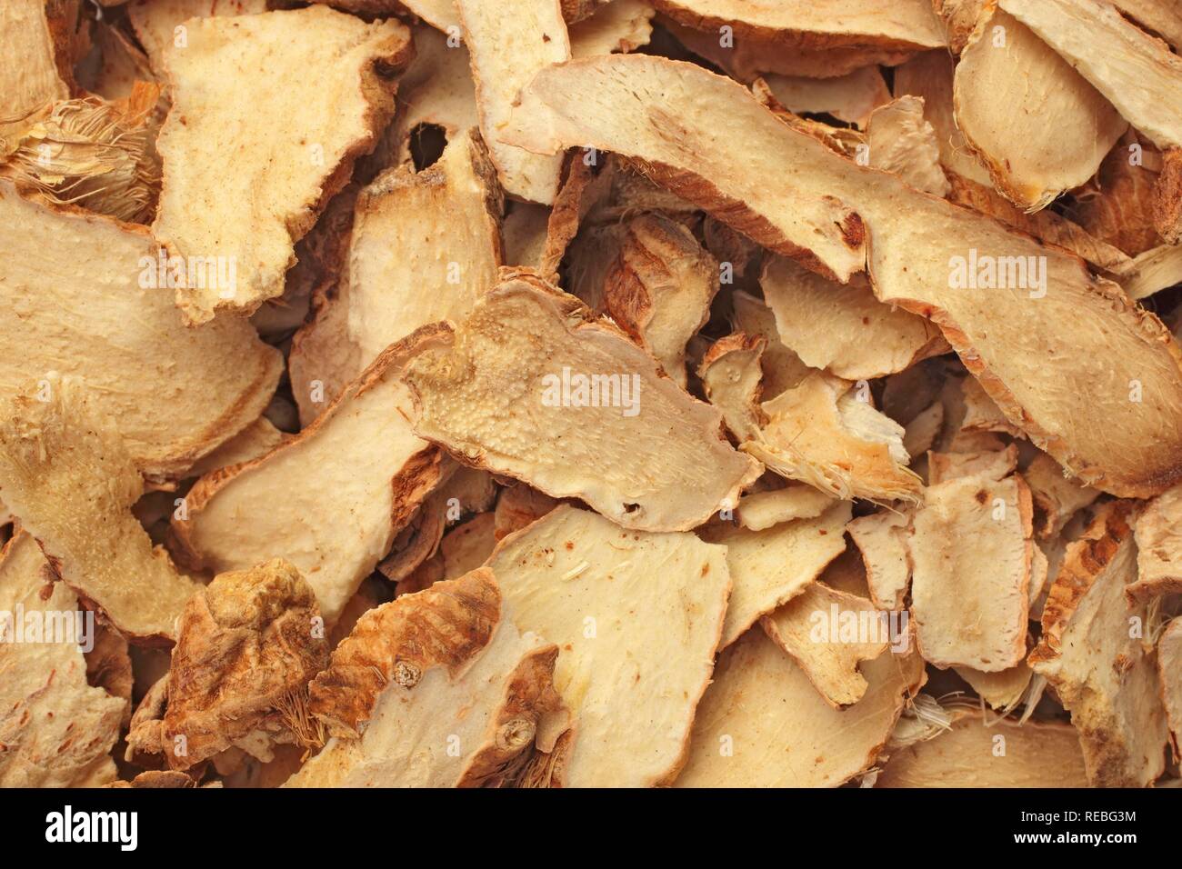 Medicinal plant Common Anemarrhena (Anemarrhena asphodeloides), Zhi Mu, dried roots Stock Photo