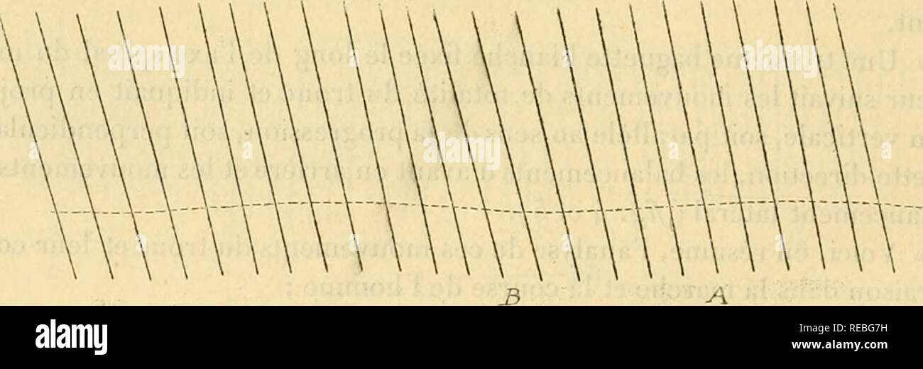 Colonne en marche hi-res stock photography and images - Alamy