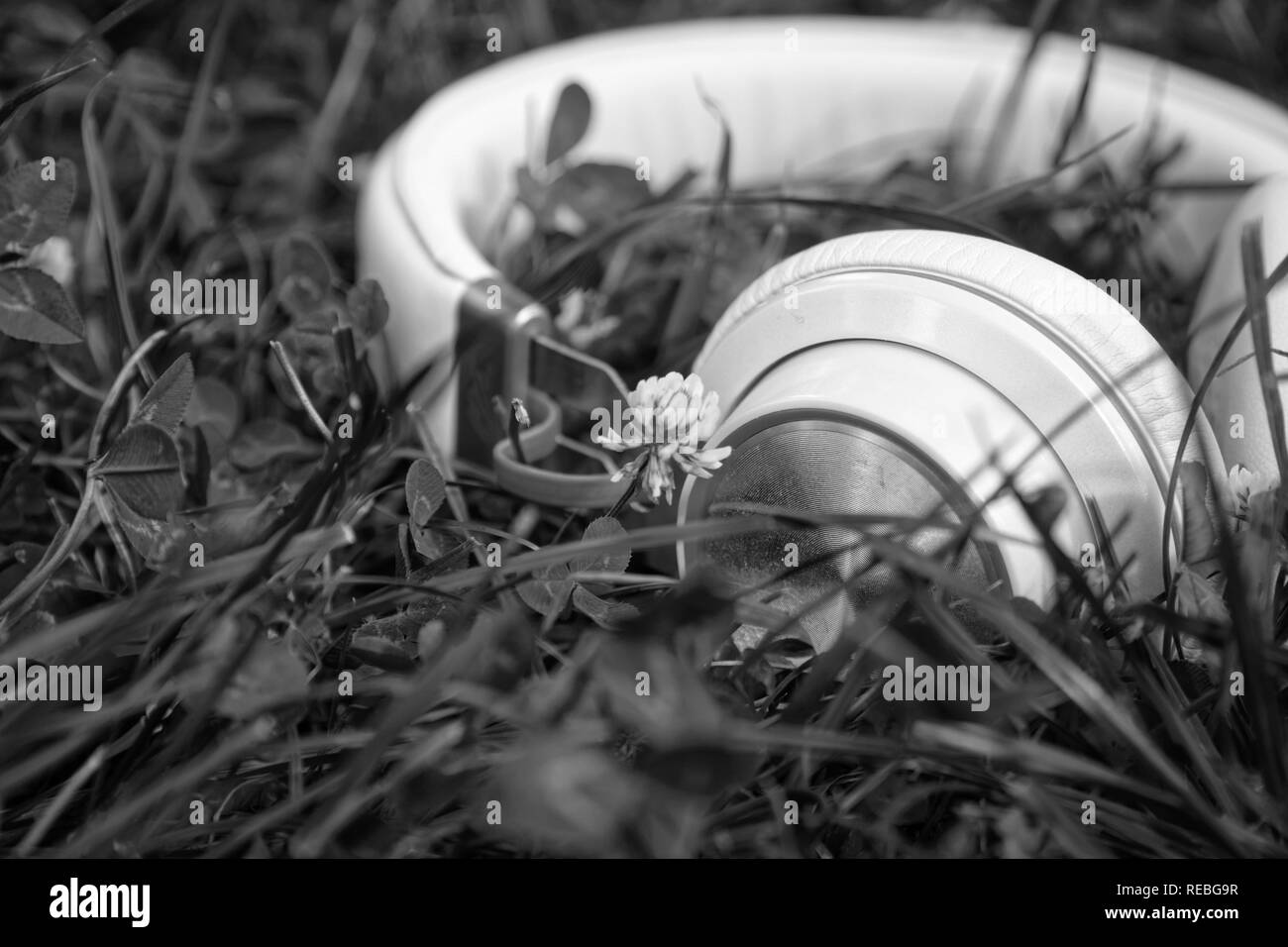 Monochrome Headphone lies on green grass in sunny day, business concept. Stock Photo