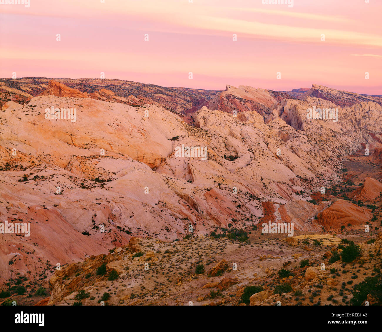 USA, Utah, Capitol Reef National Park, Dawn glow over slanted uplift of