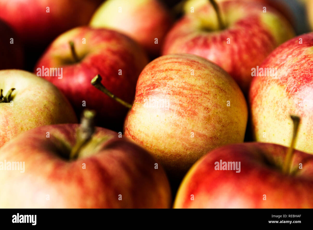 Royal gala apple tilt to the side Stock Photo Alamy