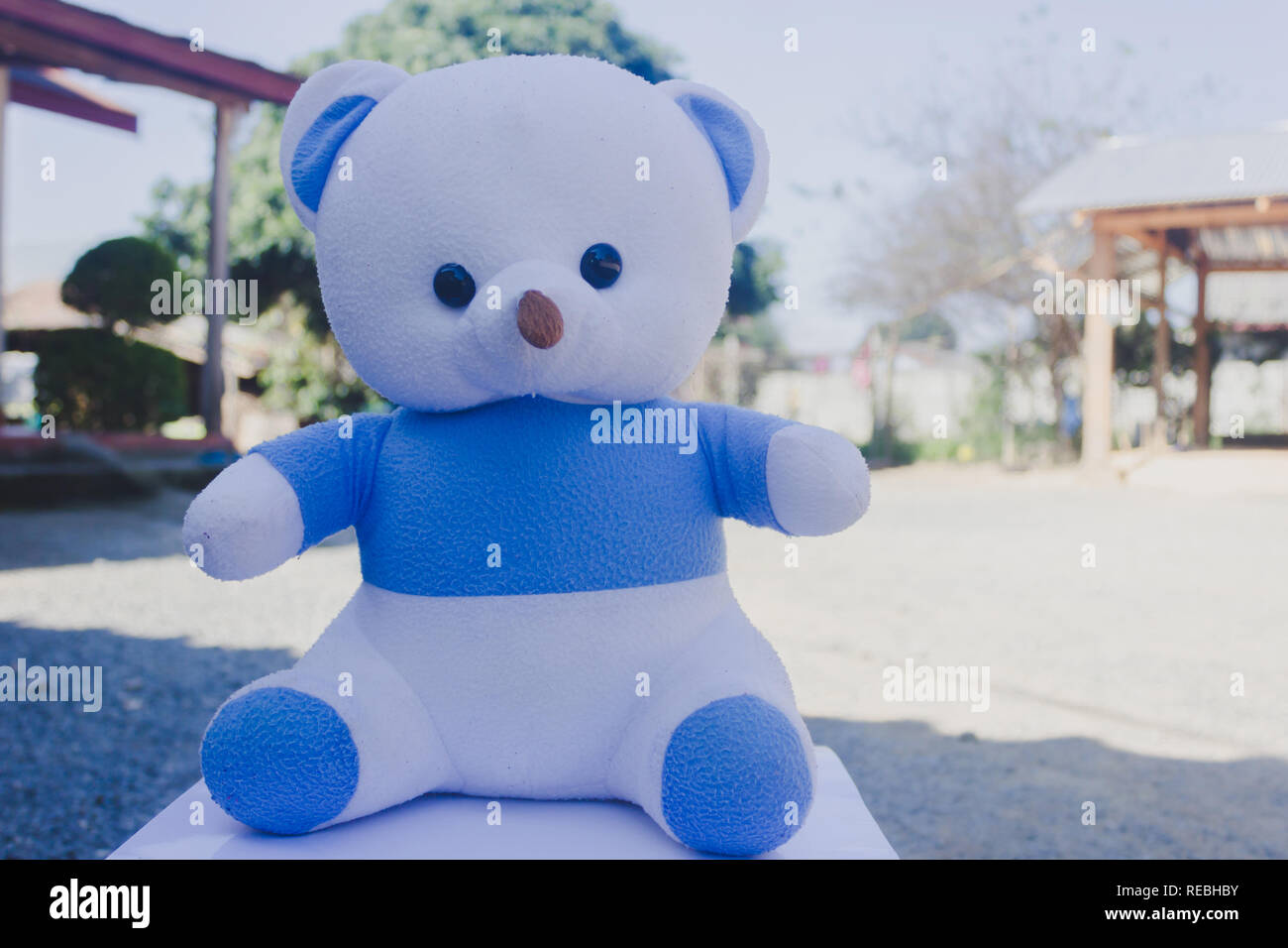 blue and white teddy bear