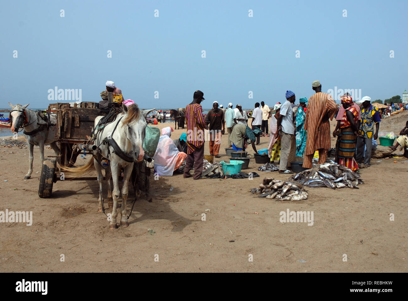 M'bour, Senegal.  Landed fish being traded on the beach.  Horse drawn carts carry ice blocks down to the boats from nearby trucks.  Fishermen load pir Stock Photo