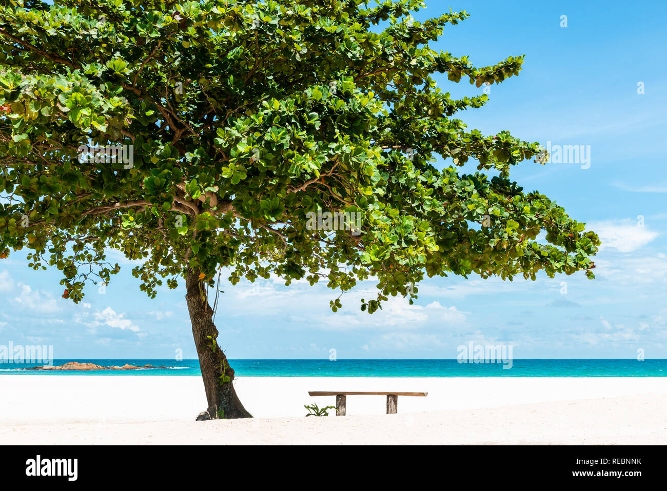 Bench under a tree on a beautiful white sand tropical beach in Bintan Island, Indonesia Stock Photo