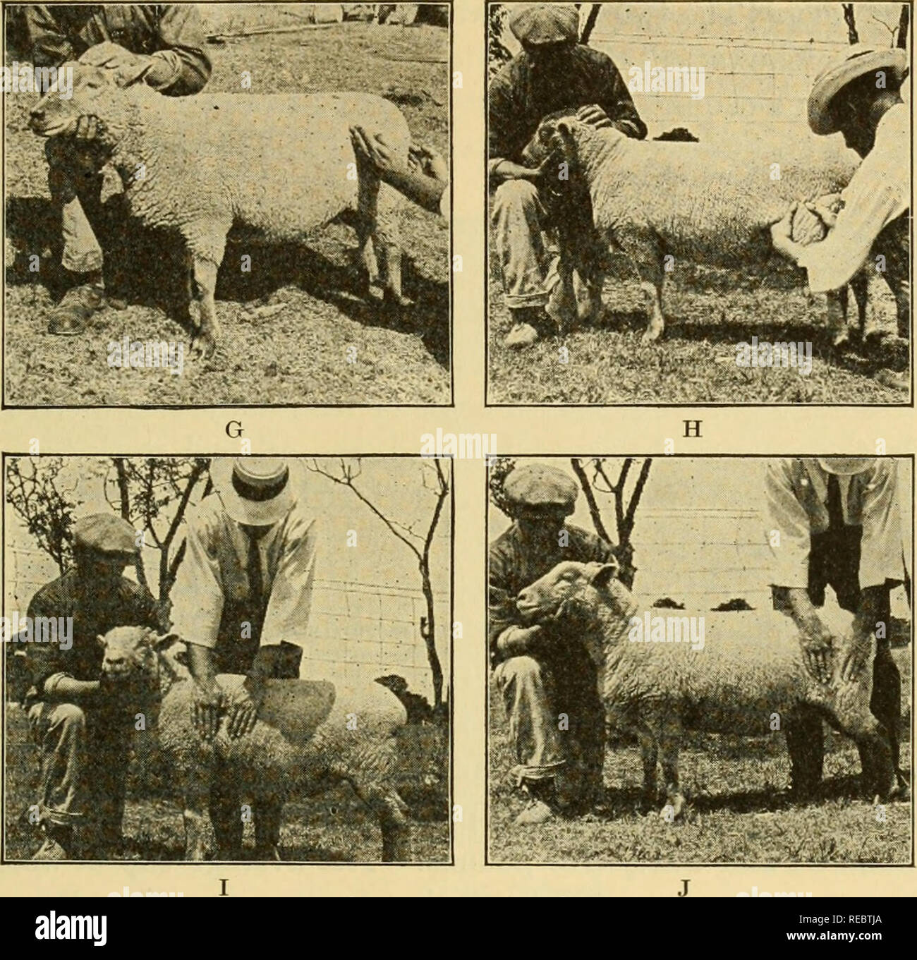 Complete Farmer S Guide Agriculture Farm Life From Old Catalog