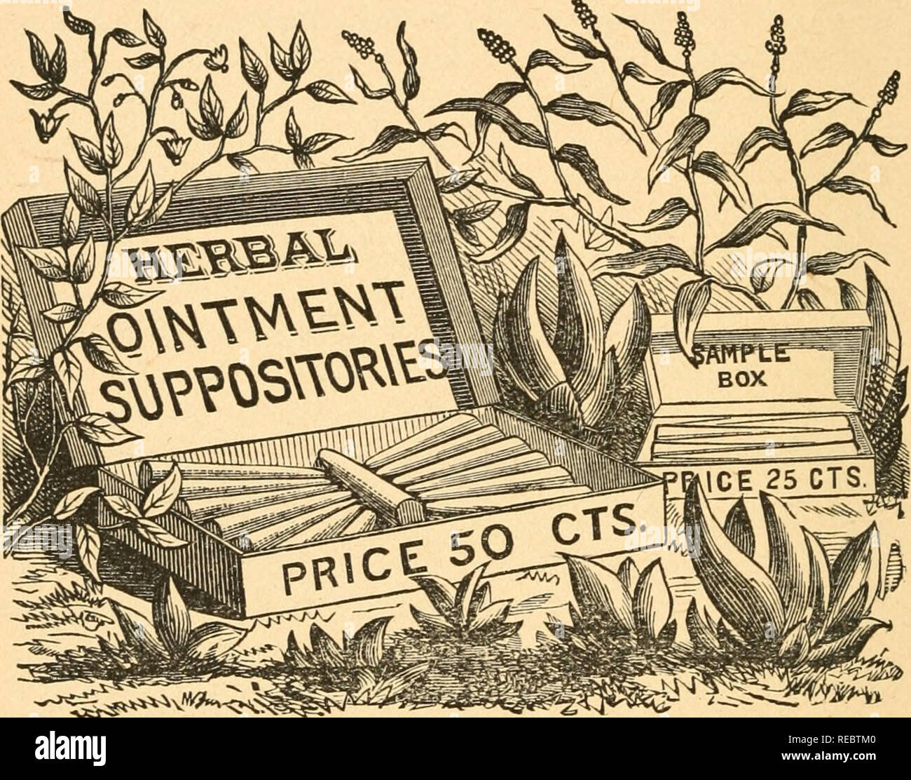 The Complete Herbalist Or The People Their Own Physicians By The Use Of Nature S Remedies Describing The Great Curative Properties Found In The Herbal Kingdom Materia Medica Vegetable Botany