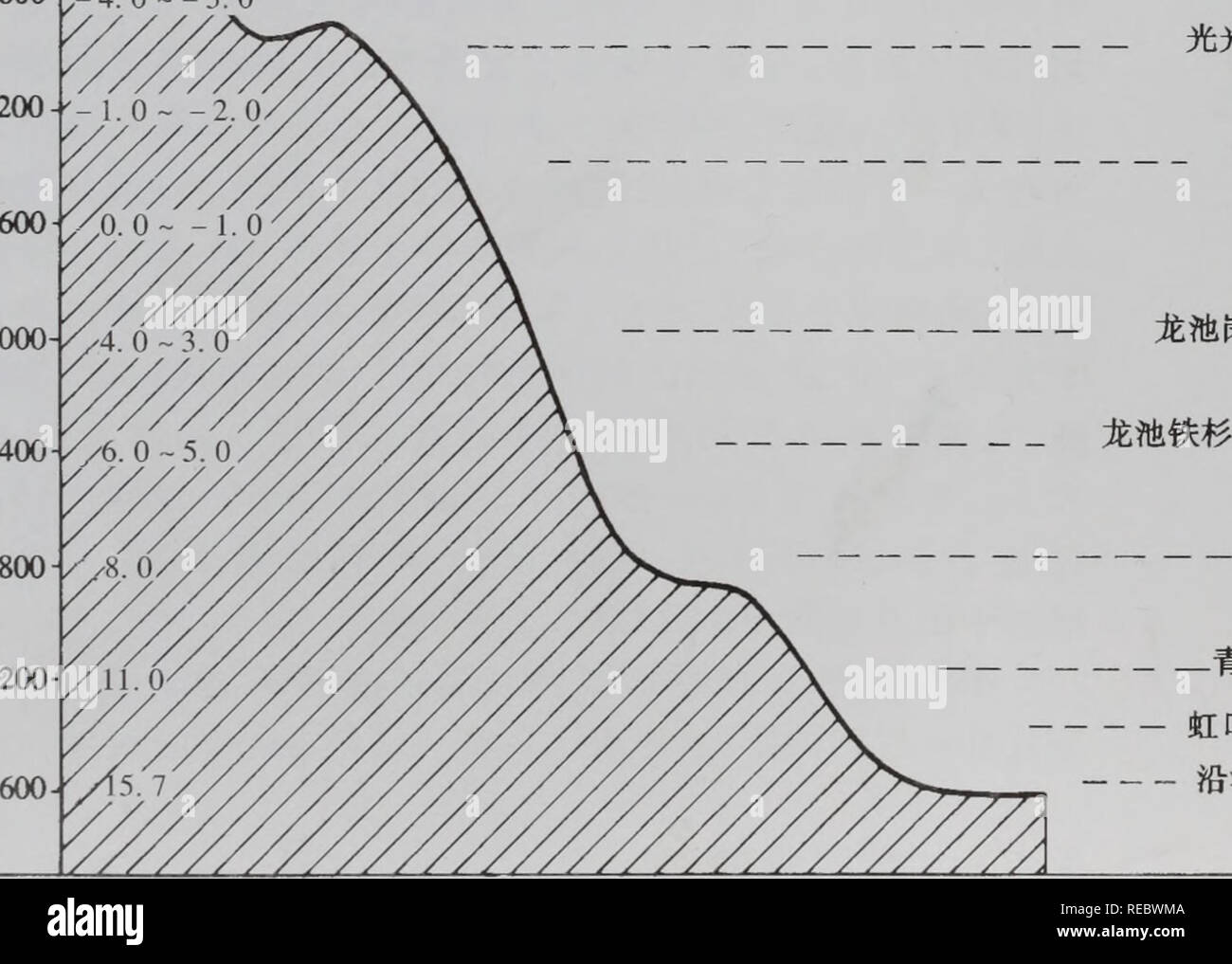 シャネル 時計 激安 / 広島 時計 激安メンズ