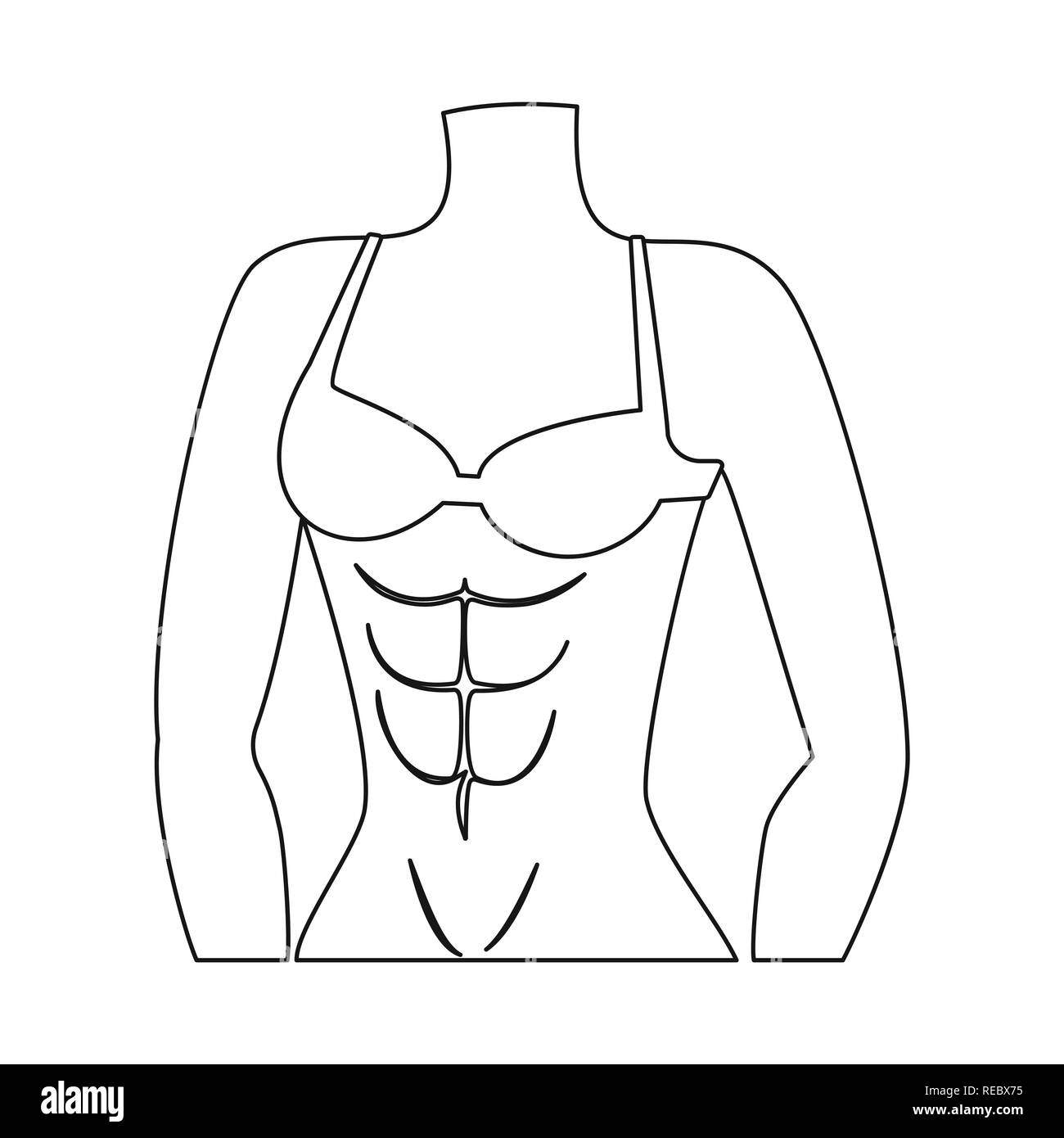 woman,gym,athlete,girl,healthy,beauty,exercise,bodybuilder,fitness