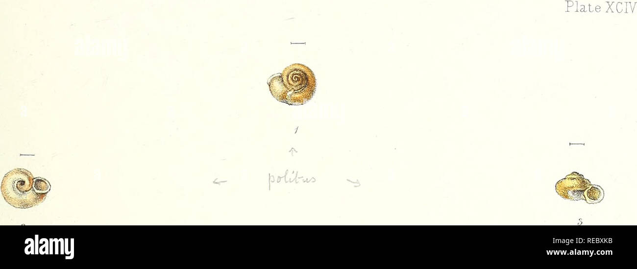 Sylvanus Shell William hanley hi-res stock photography and images - Alamy
