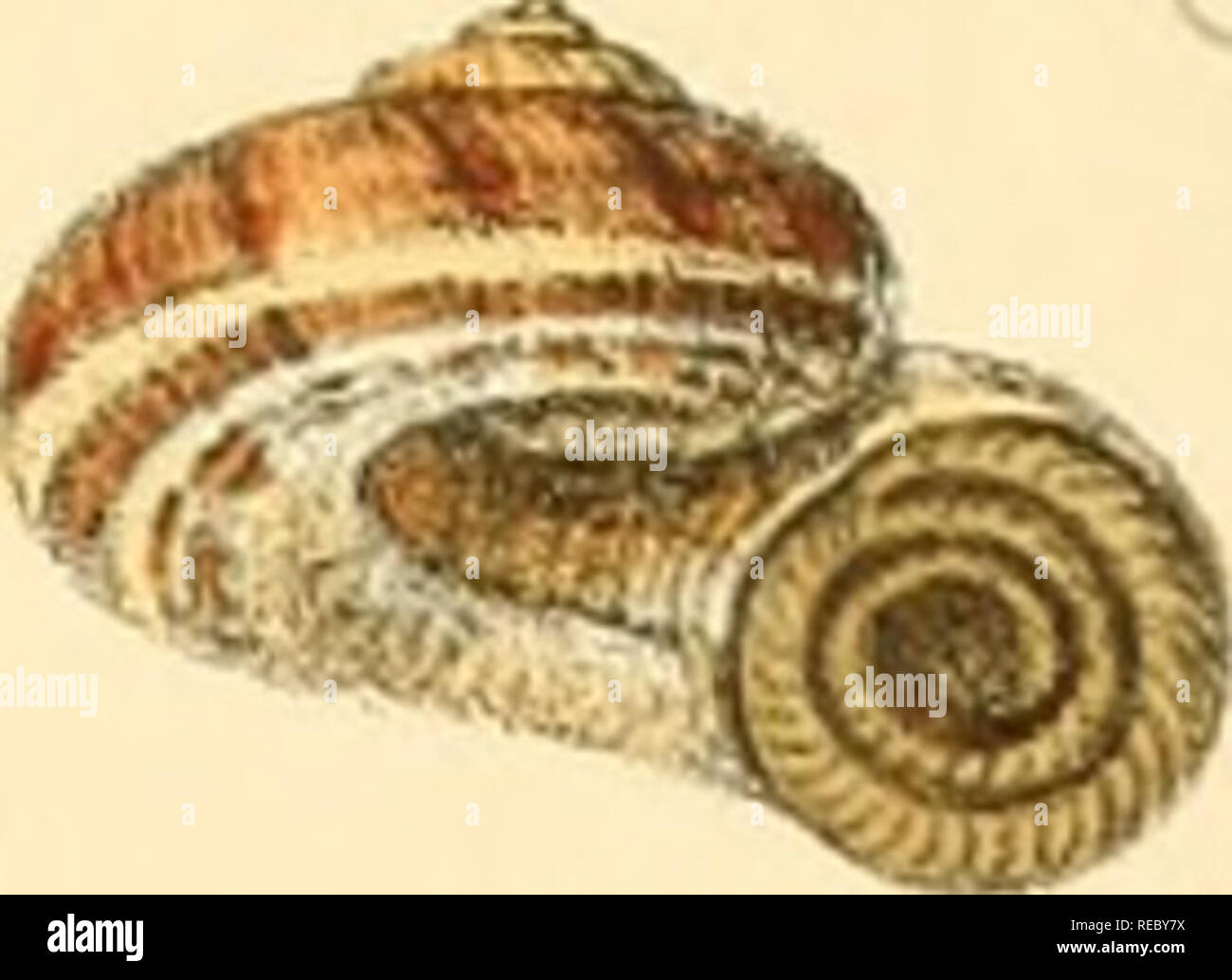 Sylvanus Shell London lma hi-res stock photography and images - Alamy