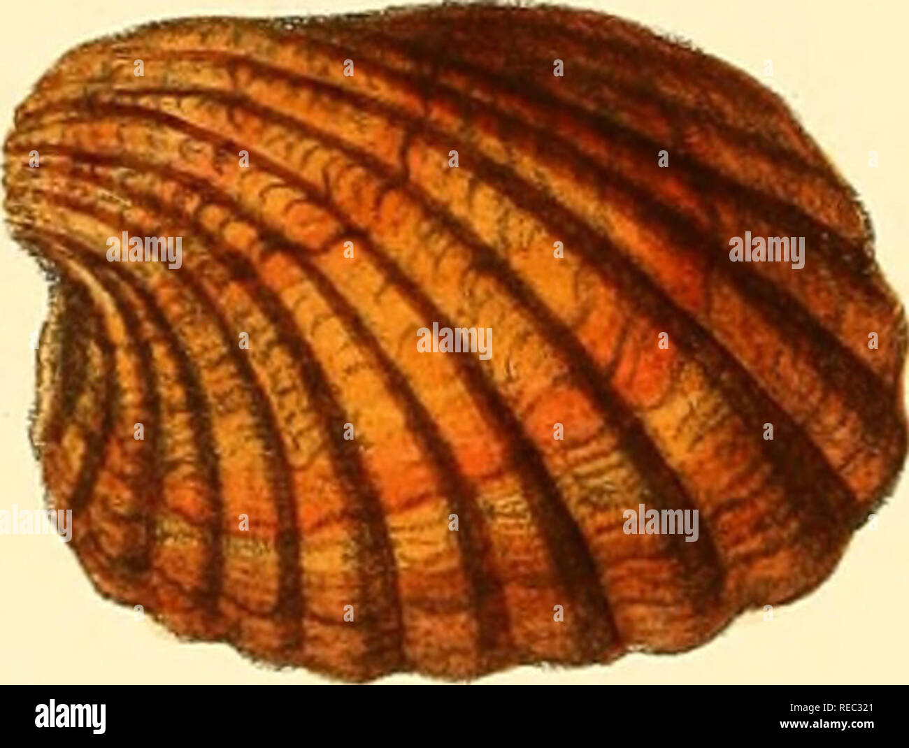 G 36b hi-res stock photography and images - Alamy