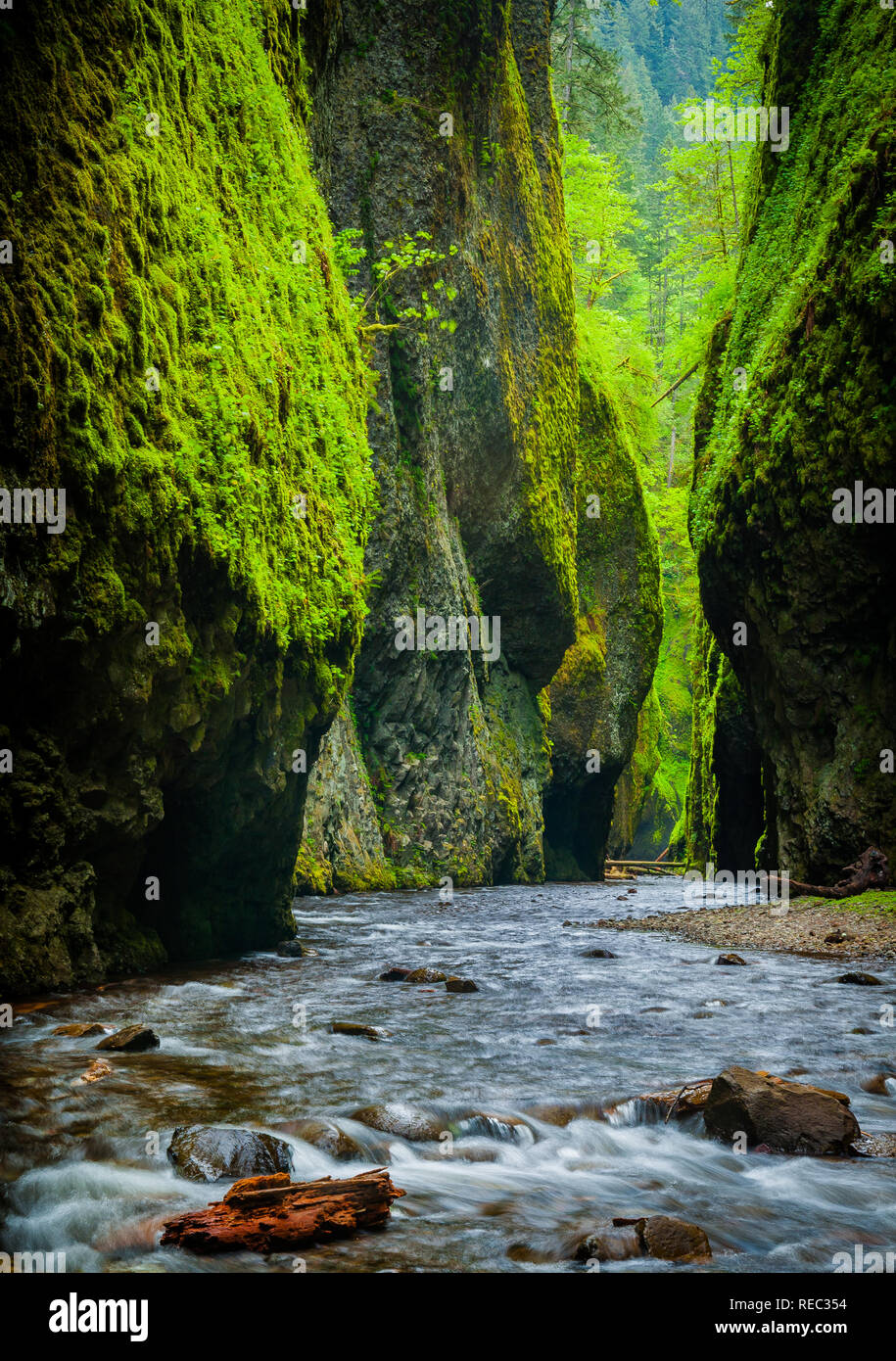 Oneonta canyon hires stock photography and images Alamy