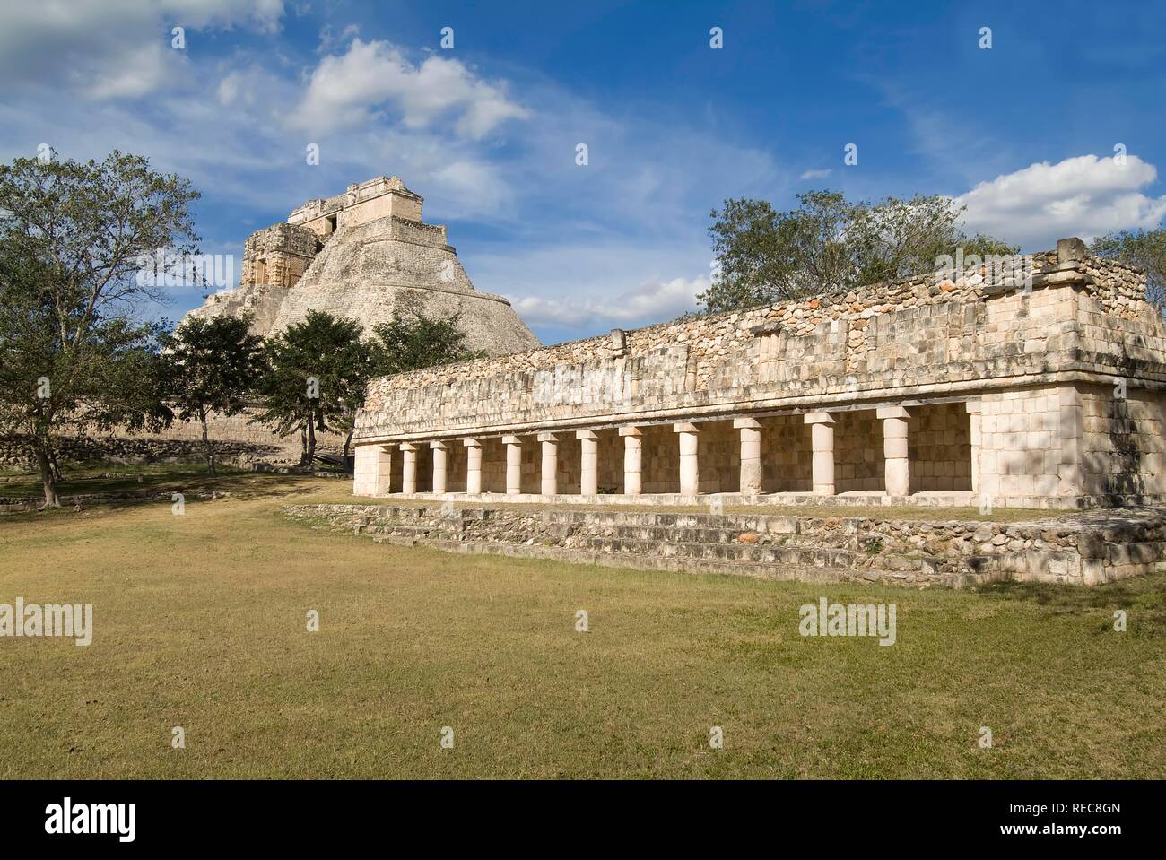 Uxmal, UNESCO World Heritage Site, Adivino pyramid or Pyramid of the Magician, Yucatan, Mexico Stock Photo