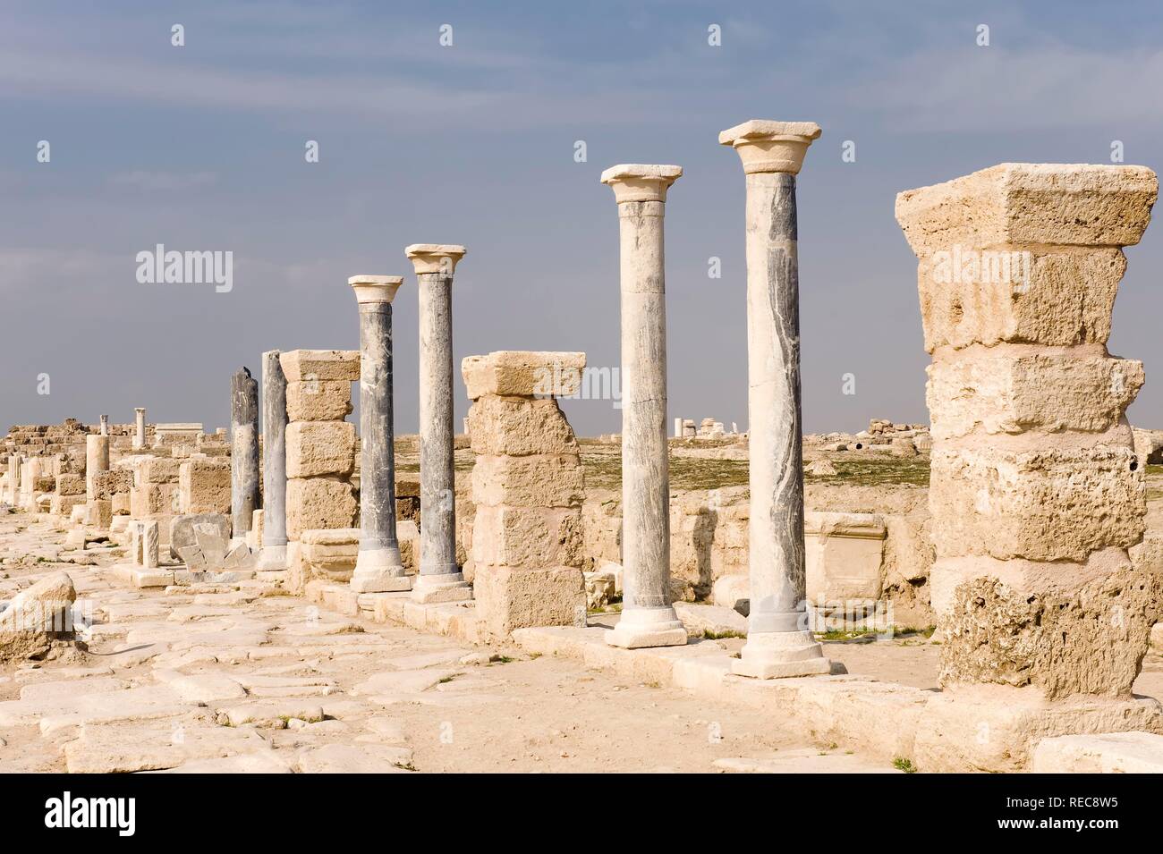 Street flanked by a colonnade, Laodicea on the Lycus, Denizli, Anatolia, Turkey Stock Photo