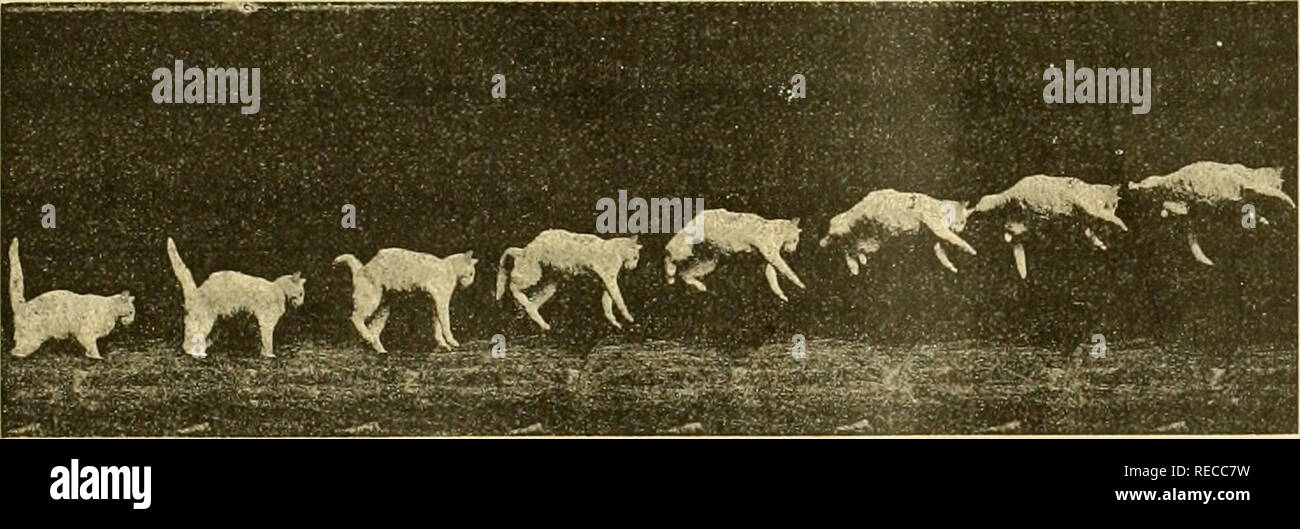 Chat Lit High Resolution Stock Photography And Images Alamy