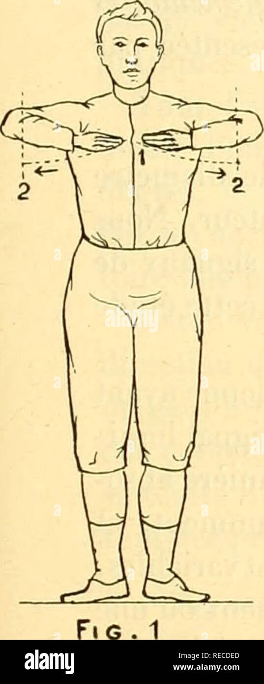 . comptesrendusheb1451907acad. es naturelles. SÃANCE DU Ir NOVEMBRE 1907. 827 dans un plan perpendiculaire au précédent; l'air s'échappe lentement des poumons par la bouche ouverte, pendant que les bras s'abaissent. Deuxième EXERCICE. â Les avant-l)ras sont repliés de manière que les extrémités des doigts se touchent sur la ligne médiane, l'avanl-liras et le bras se trouvent dans un même plan horizontal, les bras ne changent pas de position. a. Inspiration. â Les avant-bras dans le plan horizontal des bras décrivent un arc de 180" (positions i, 2, i, fig- 1 et 3). b. Expiration Stock Photo