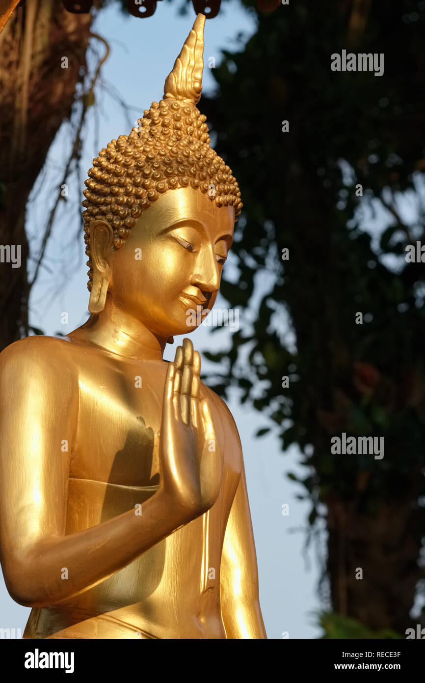 A Buddha statue displaying the mudra (hand gesture) of Abhaya (dispelling fear) at Wat Phra Nang Sang, Thaland, Phuket, Thailand Stock Photo
