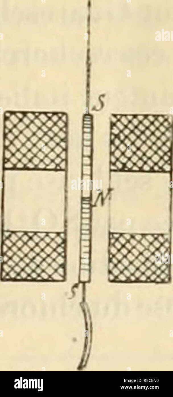 . Comptes rendus hebdomadaires des séances de l'Académie des sciences. Science -- Societies, etc; Science; Science. Kig. 2. variation de l'angle solide, sous-tendu par le pourtour du feuillet magnétique, est d'autant plus grande que ce feuillet est de plus petit diamètre. Il en résulte deux avantages immédiats : 1° augmentation de la force contre-électro- motrice due au déplacement de ce pôle; 2° diminution de résistance de la spire consi- dérée. Ces deux causes font que, mise en court circuit, la bobine se trouve parcourue, pendant le déplacement de l'aimant, par des courants assez intenses p Stock Photo