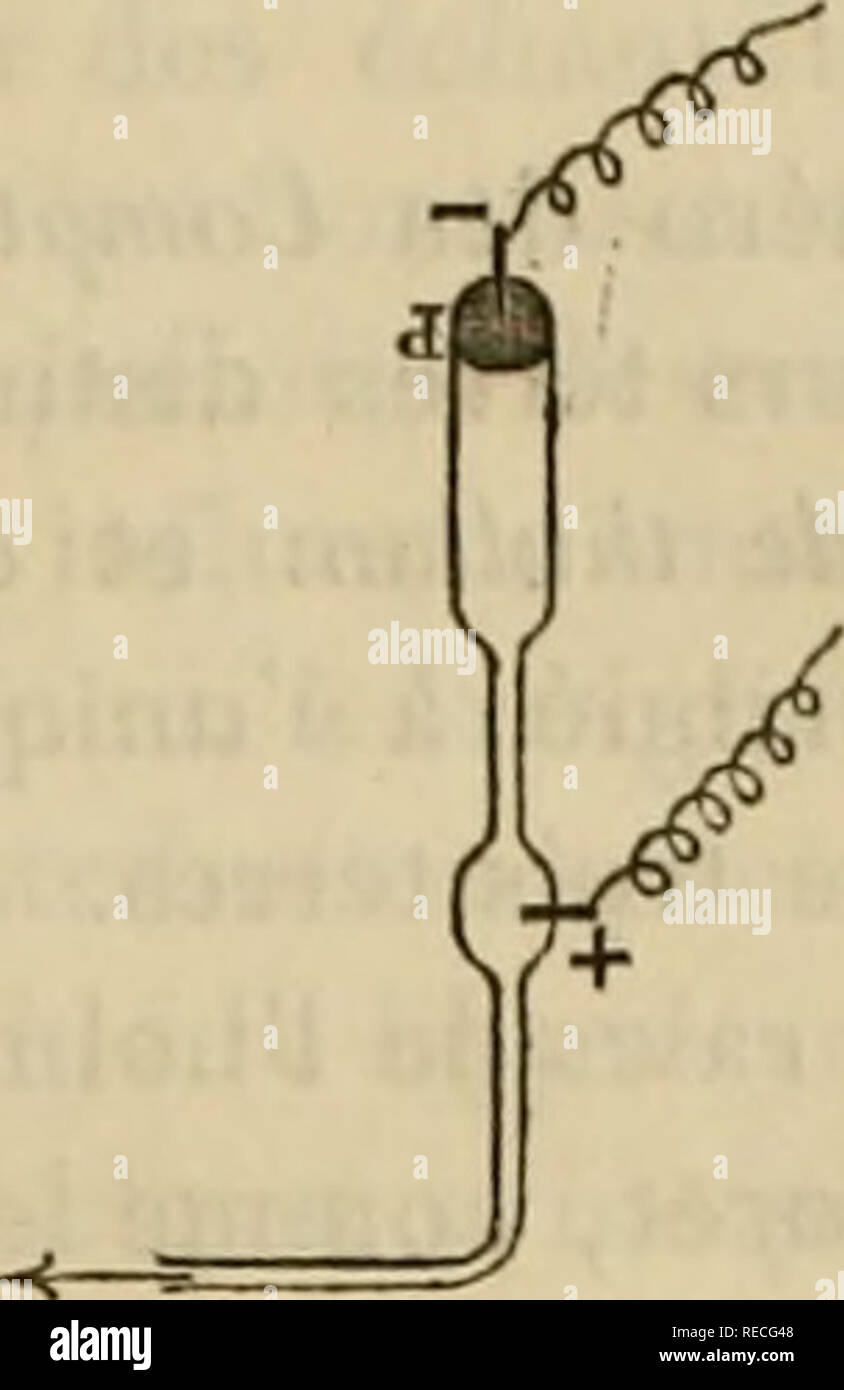 interpréter en anglais