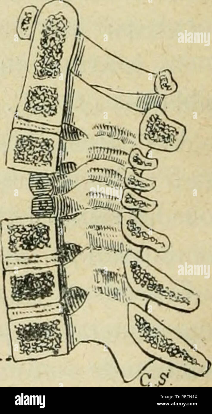 Produisons hi-res stock photography and images - Alamy