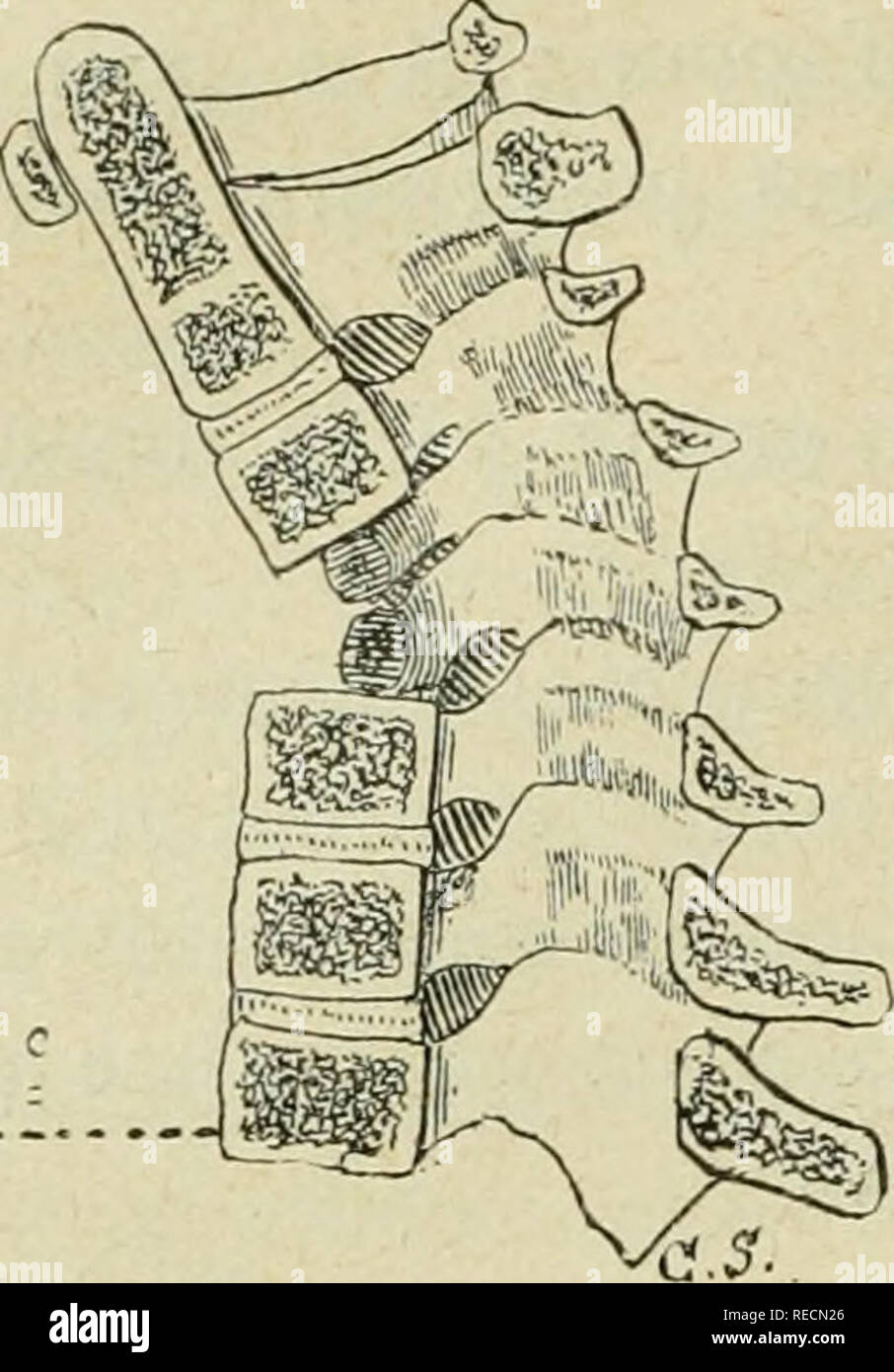 Produisons hi-res stock photography and images - Alamy