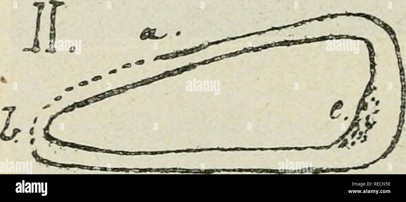 Pl Lxv High Resolution Stock Photography And Images Alamy