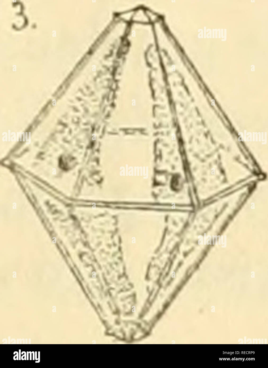 comptesrendusheb1171171893acad. es naturelles. affectent une forme  gÃ©omÃ©trique trÃ¨s-remarquable {fig. 2); l'enveloppe est en effet formÃ©e  de deux pyramides hexagonales accolÃ©es par leurs bases et dont le sommet  un peu tron([uÃ© est