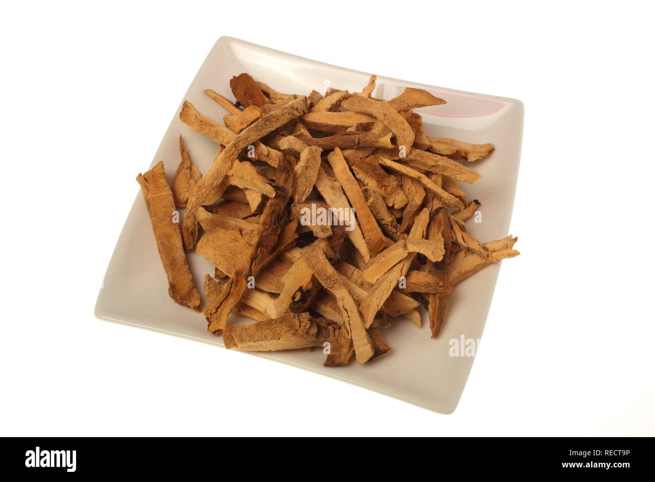 Medicinal plant Yamroots, dried roots, Water Yam (Dioscorea alata), Bi Xie Stock Photo
