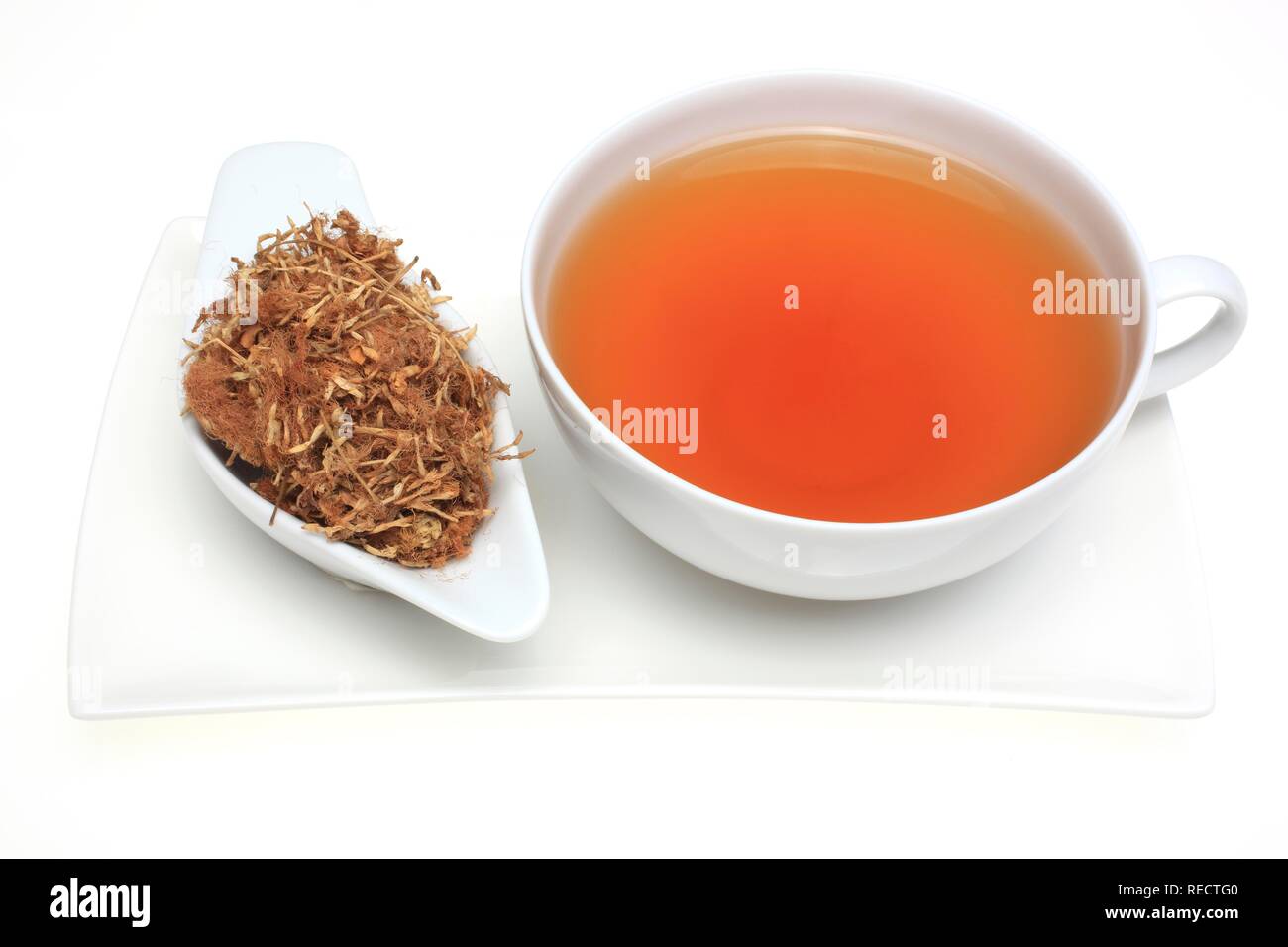 Medicinal tea made of the dried blossoms of medicinal plant Albizzia (Albizzia flos, Albizia julibrissin), Mimosa flower tree Stock Photo