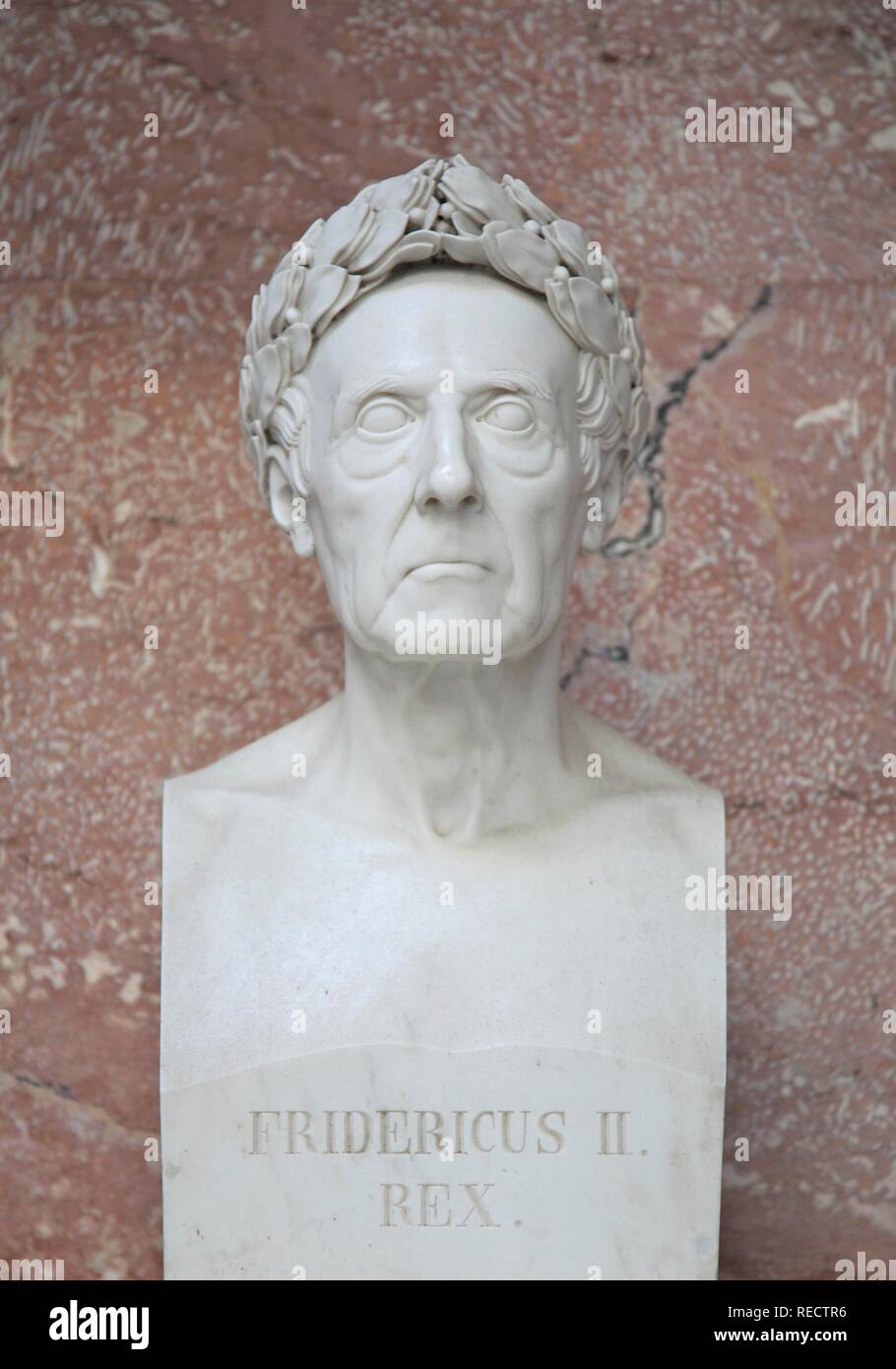 Bust of Fridericus II Rex, Friedrich II, Holy Roman Emperor Stock Photo