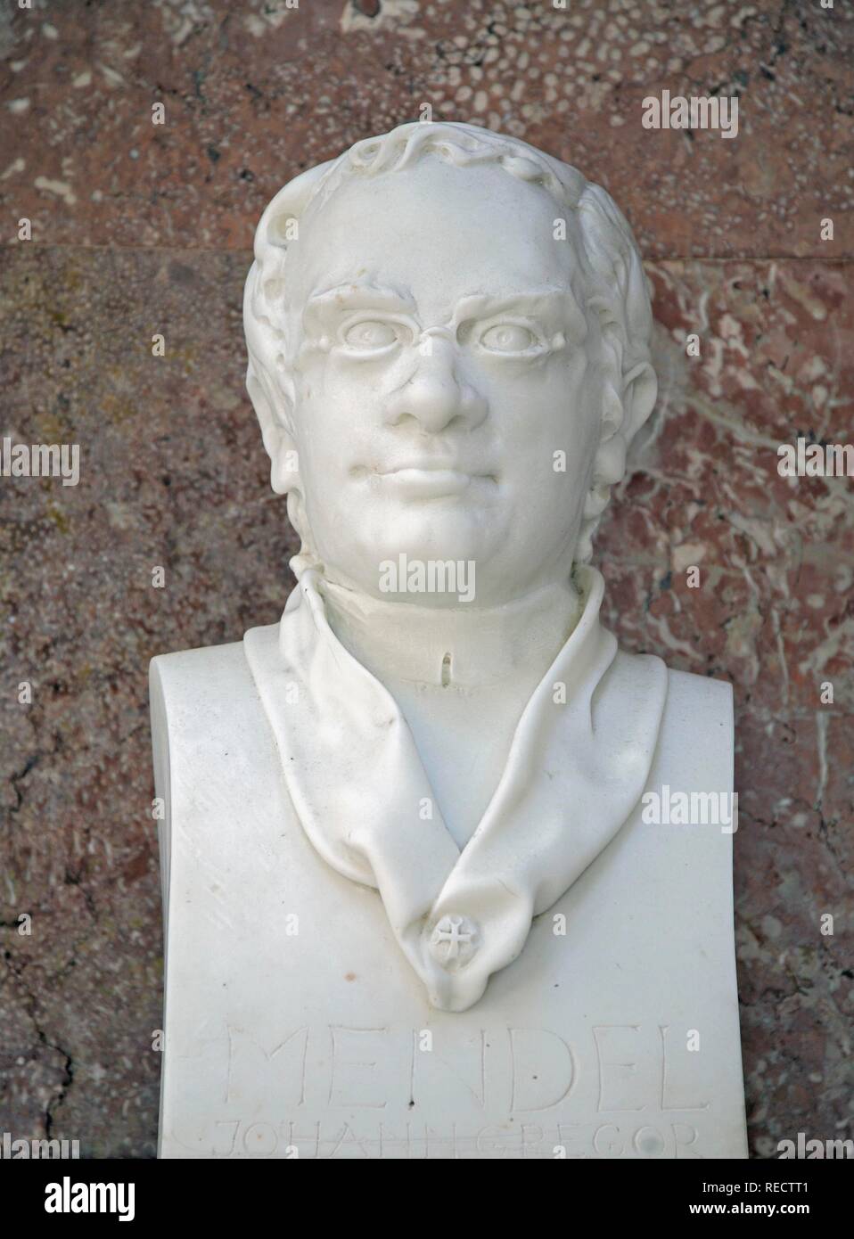 Bust of Gregor Mendel, Austrian Augustinian monk and naturalist Stock Photo