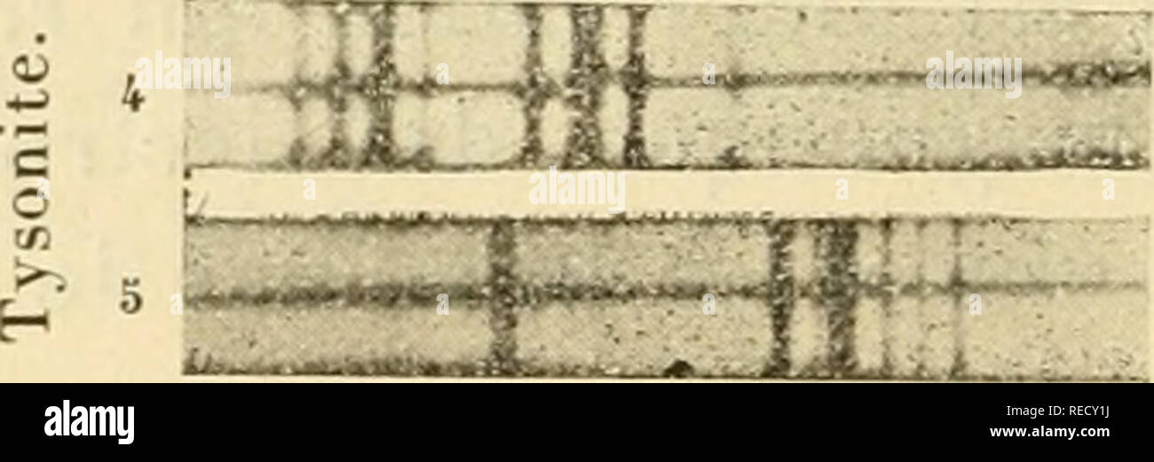 vans compensées noir