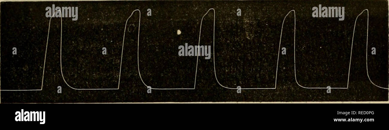 Page 7 Maxi L High Resolution Stock Photography And Images Alamy Page 7 Maxi L High Resolution Stock Photography And Images Alamy