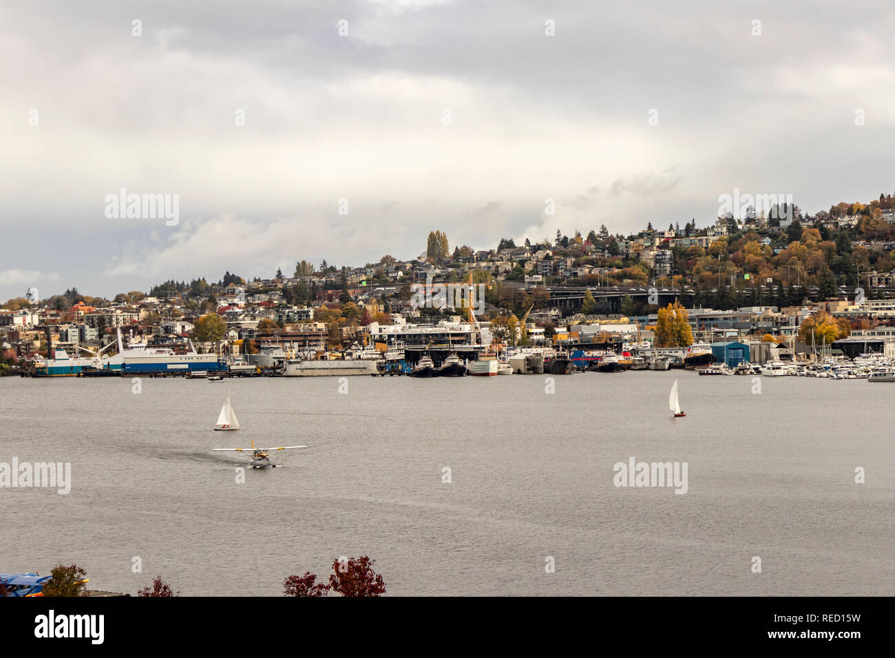 A Seaplane/Water Taxi landing on Lake Union, Seattle, Washington State, USA. Stock Photo