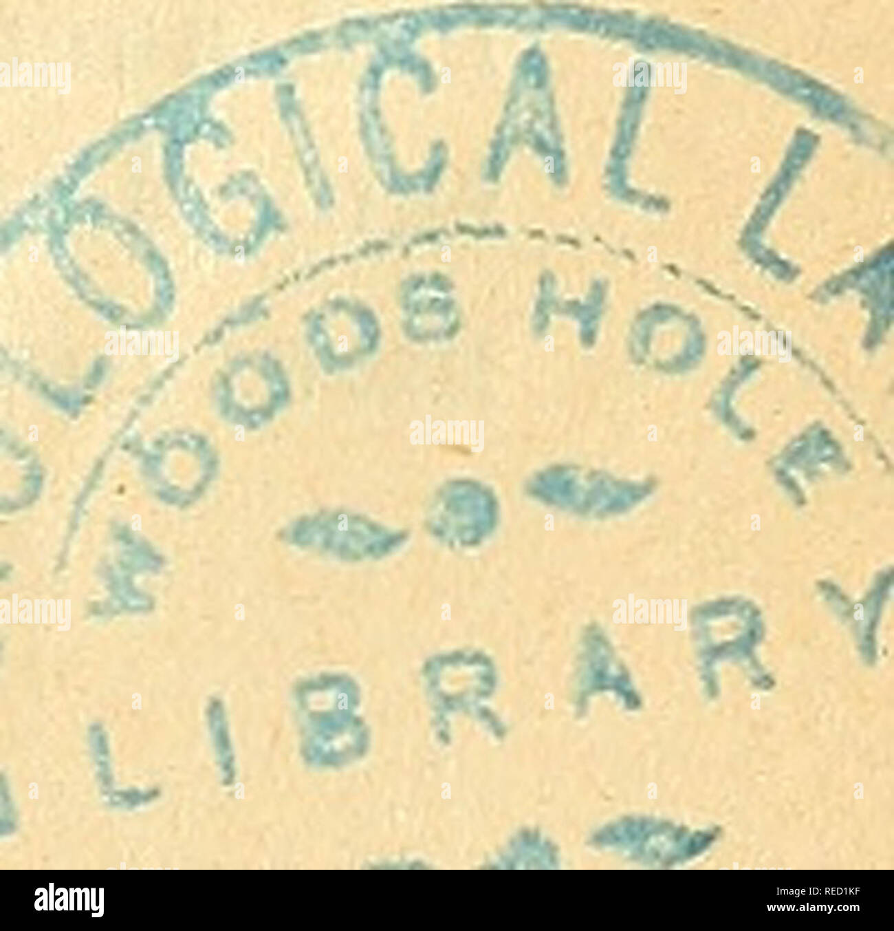 Ant Aa Stock Photos Ant Aa Stock Images Alamy