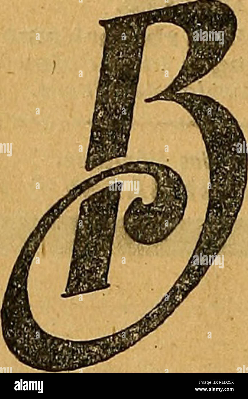 Page 2 Raquin High Resolution Stock Photography And Images Alamy