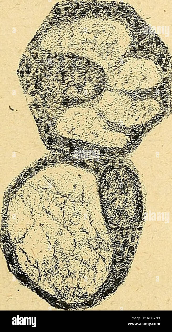 Figurant S Hi Res Stock Photography And Images Alamy