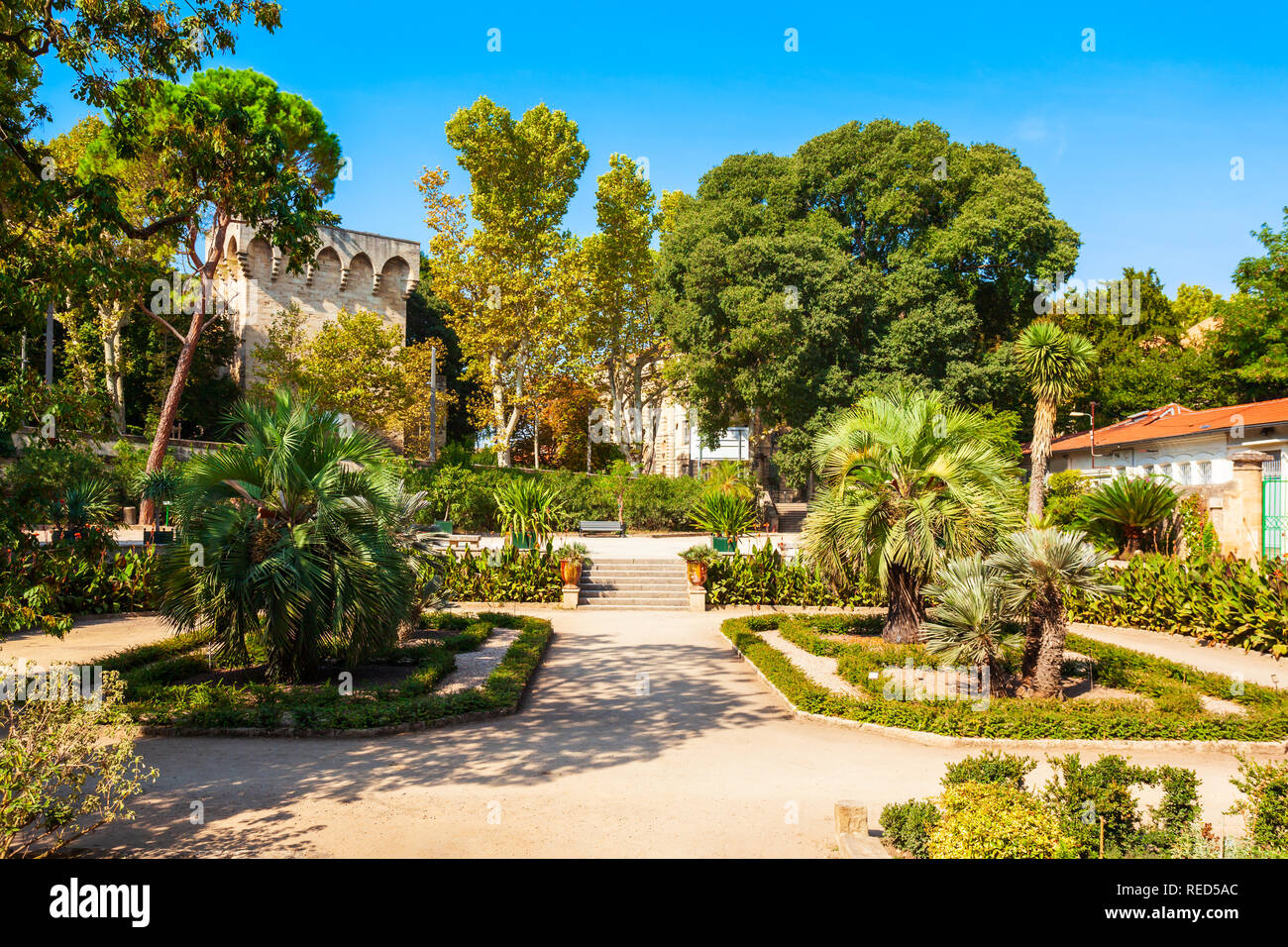 The jardin des plantes de Montpellier is a public botanical garden in  Montpellier city, France Stock Photo - Alamy