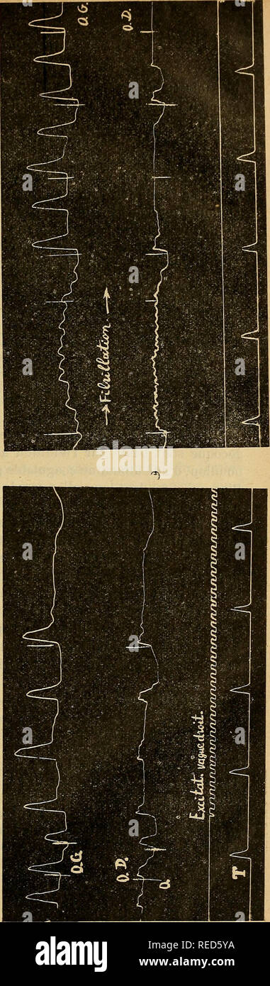 Comptes Rendus Des Seances De La Societe De Biologie Et De Ses Filiales Biology Fig 1