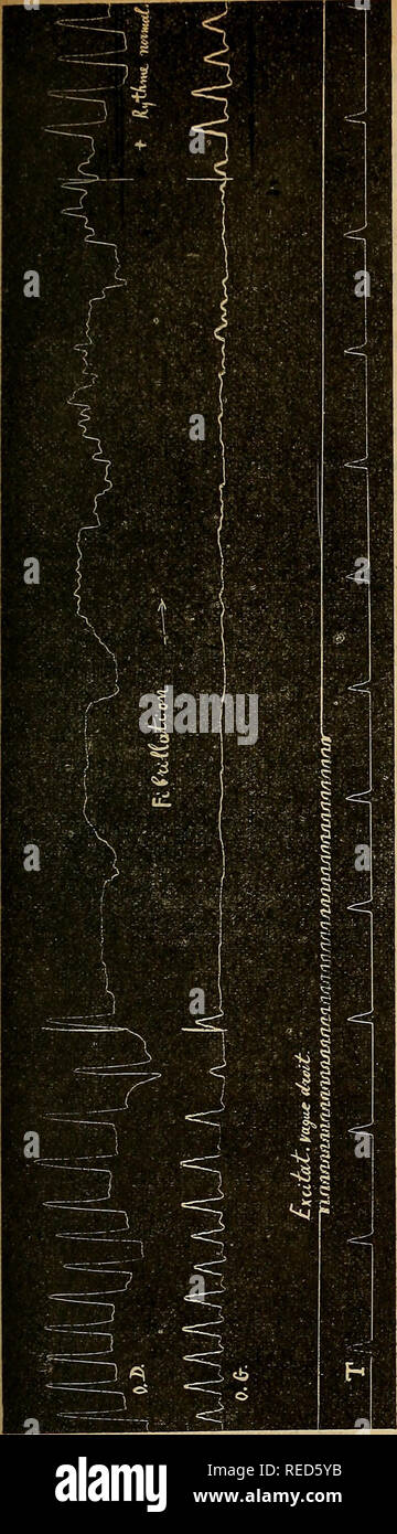 Comptes Rendus Des Seances De La Societe De Biologie Et De Ses Filiales Biology Fig 1