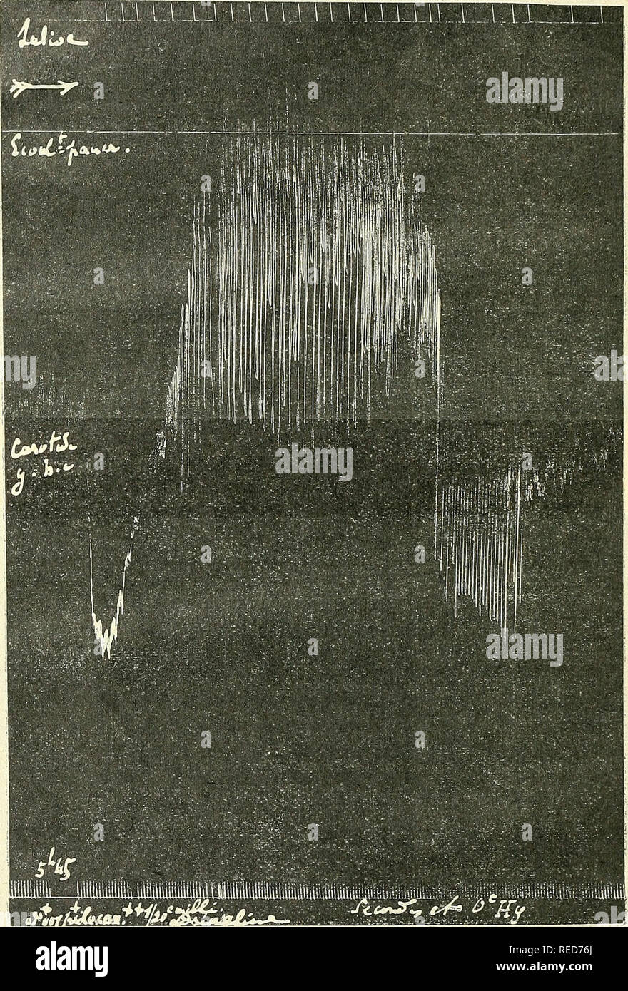 Excitant High Resolution Stock Photography And Images Alamy Excitant High Resolution Stock Photography And Images Alamy