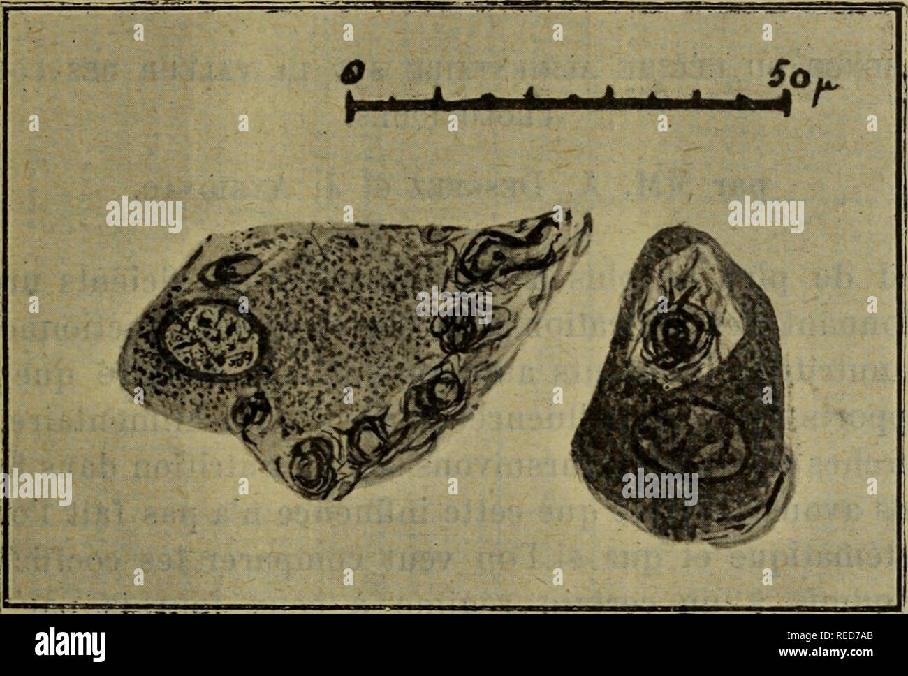 Jour de lavage hi-res stock photography and images - Alamy