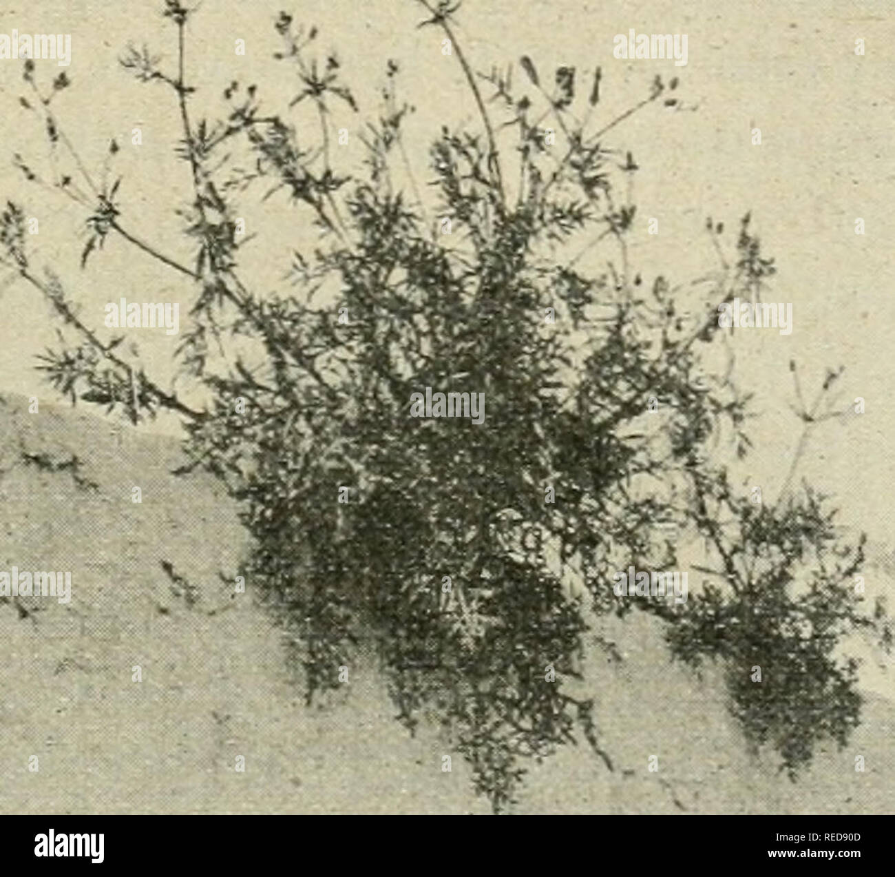 texte sur une rencontre extraordinaire