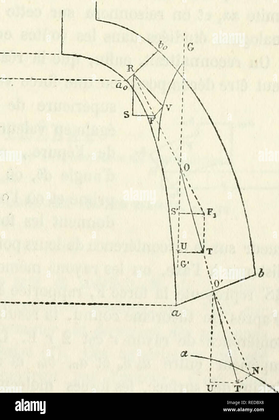 loi puma rsi loi puma rsi