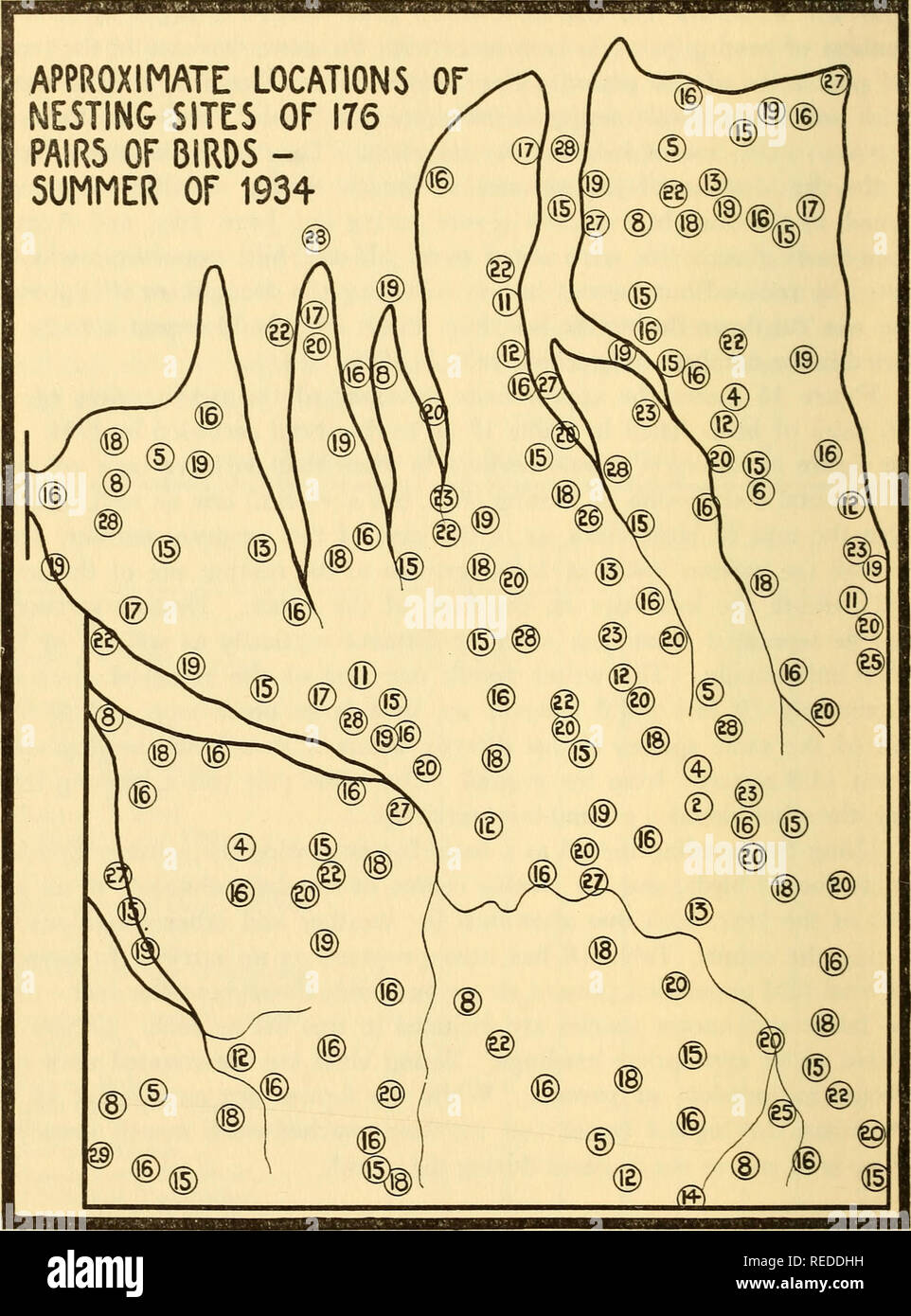 . The composition and dynamics of a beech maple climax community. Forest ecology; Forest dynamics; Natural history. 64 The Cleveland Museum of Natural History Sci. Pub. Vol. VI. Fig. 15. Approximate locations of nesting sites of breeding birds in Table 17, summer of 1934. 2—Barred owl A—Hairy woodpecker 5—Downy woodpecker 6—Crested flycatcher 8—Wood pewee 11—Chickadee 12—Tufted titmouse 13—White-breasted nuthatch 14—Robin 20—Redstart 15—Wood thrush 22—Scarlet tanager 16—Red-eyed vireo 23—Cardinal 17—Black-throated green 25—Towhee warbler 26—Cerulean warbler 18—Oven-bird 27—Acadian flycatcher 1 Stock Photo