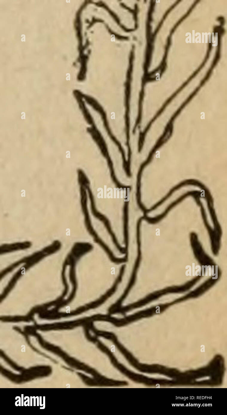 Rooms to go express hires stock photography and images Alamy