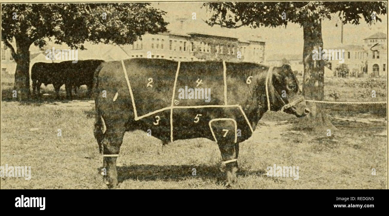 Complete Farmer S Guide Agriculture Farm Life From Old Catalog